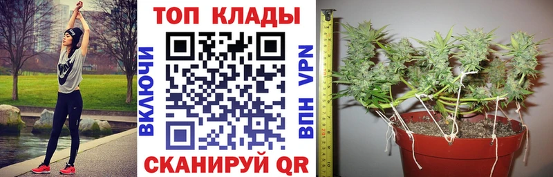 Наркошоп купить Гашиш  A-PVP  Меф мяу мяу  Каннабис  Краснознаменск