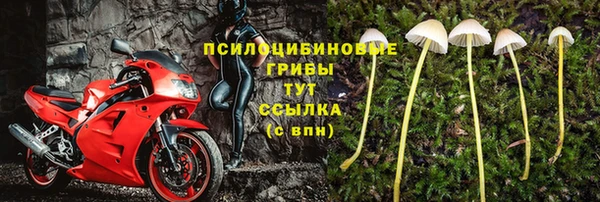 дурь Володарск