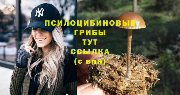 синтетический гашиш Волоколамск