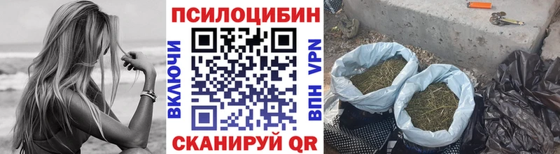 Купить закладки  Краснознаменск  Галлюциногенные грибы прущие грибы 